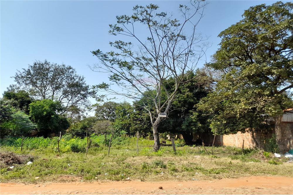 TERRENO EN REDUCTO SAN LORENZO — foto 3