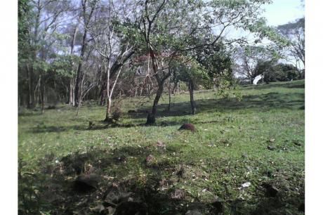Granja De 8 Ha En Sapucai
