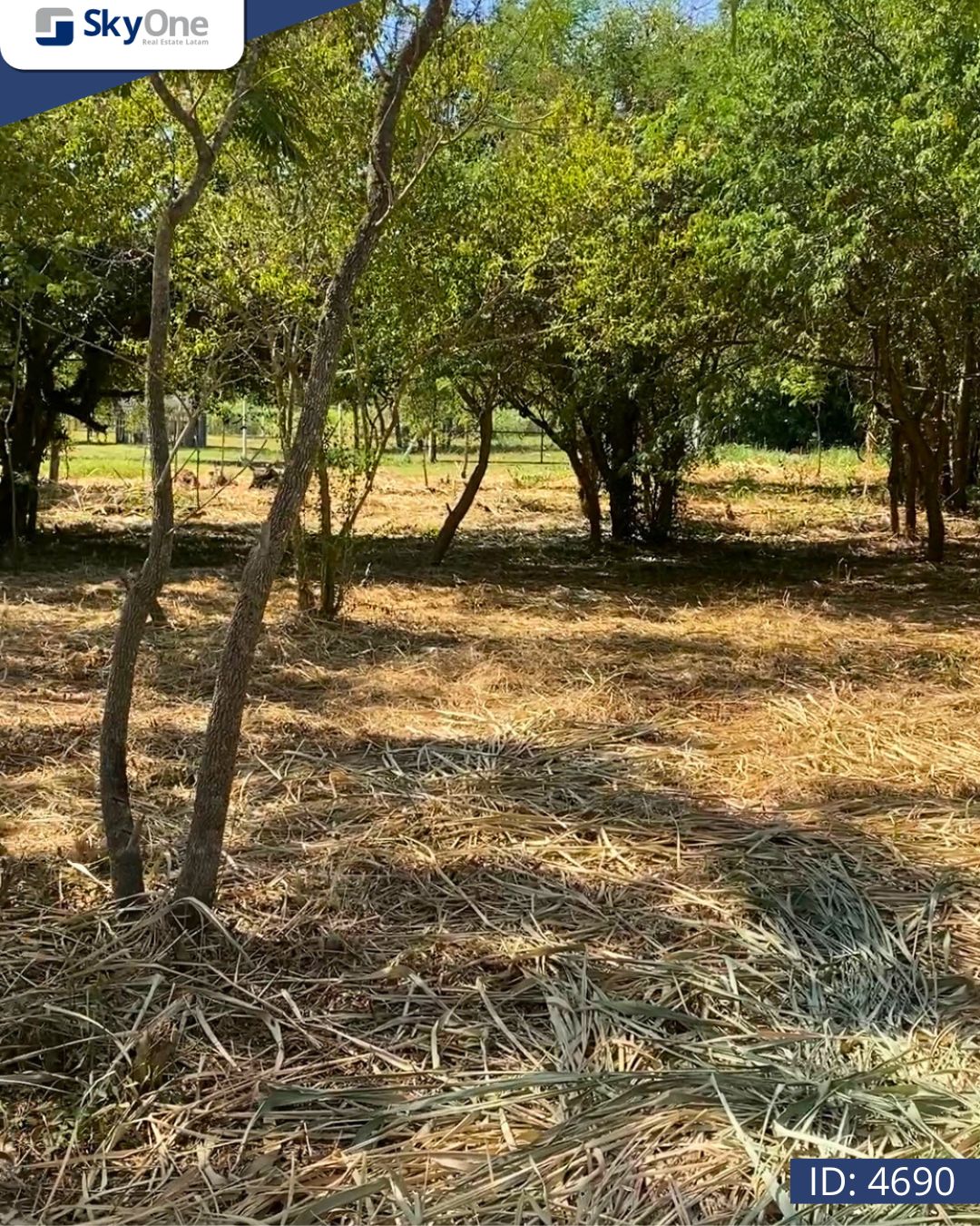 VENDO TERRENO EN SURUBI-I ZONA CLUB CENTENARIO — foto 3