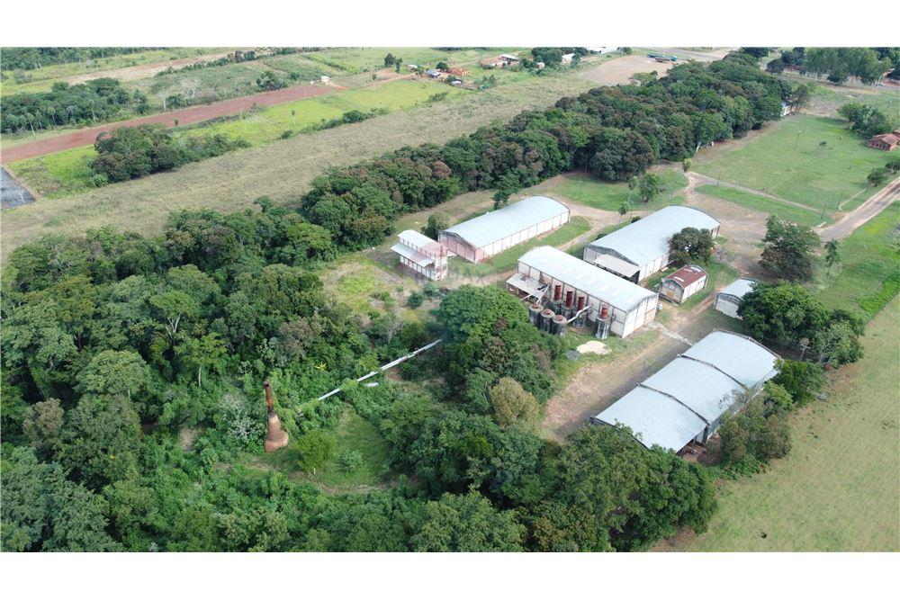 GRAN CAMPO CON DEPÓSITOS SOBRE RUTA EN LIBERACIÓN — foto 2