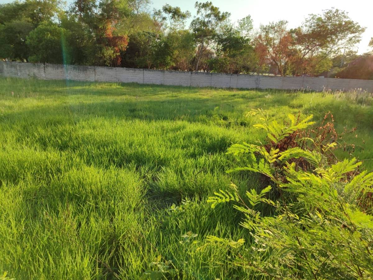 TERRENO EN VENTA A UNA CUADRA DE LA AVDA. GUILLERMO NAUMANN — foto 2