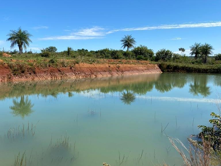???? CAMPO DE 90 HECTÁREAS EN VENTA – LISTO PARA PRODUCIR - YBYCUI ???? — foto 2