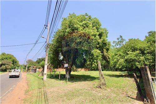 Terreno Ideal en Nueva Colombia — foto 3