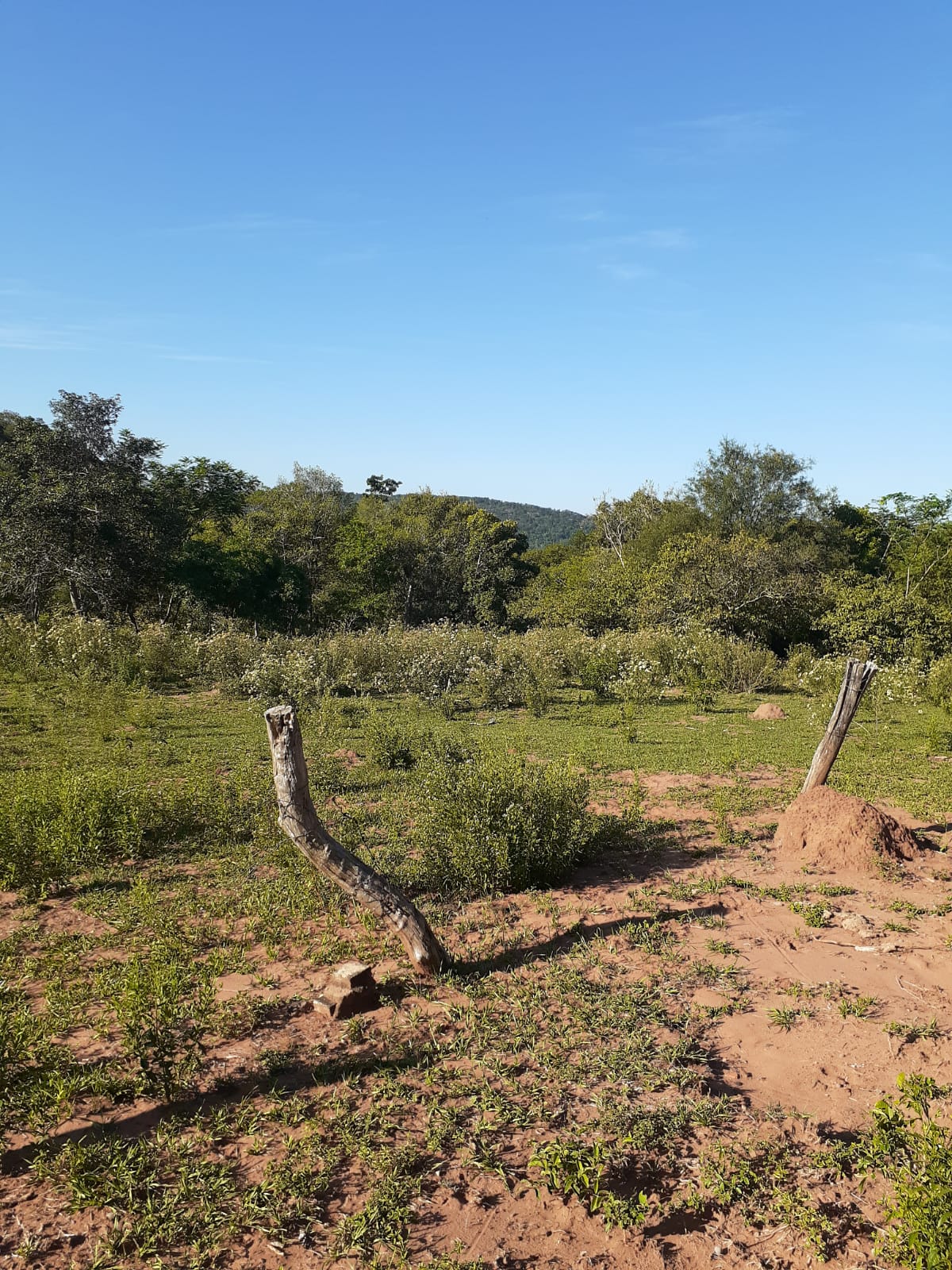 VENDO TERRENO EN CAACUPÉ — foto 2