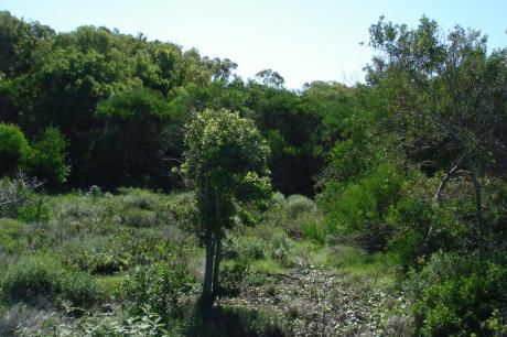 Terreno Balneario Bellavista En 2a.fila