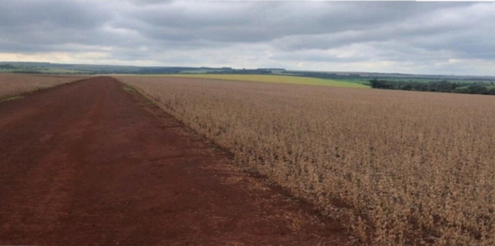 Vendo Campo de 1.000 Hectáreas en Santa Rosa del Monday-CLCS5525419 — foto 2