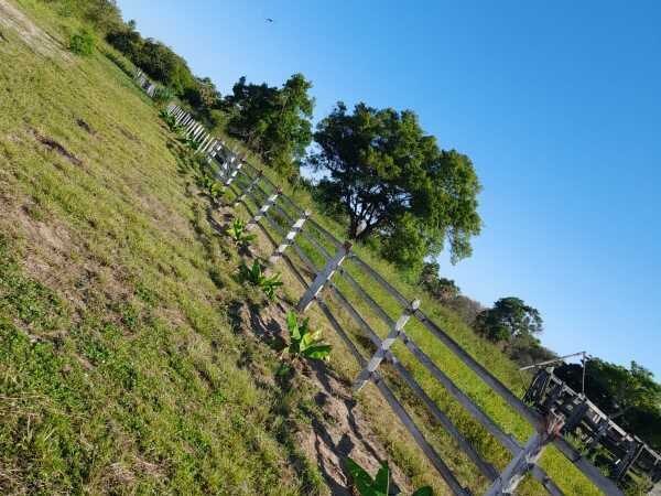 ¡Gran Oportunidad de Inversión!  Venta de Campo en Concepció — foto 3
