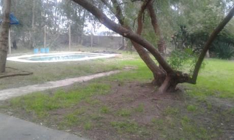 Alquiler Casa 3 Dormitorios En Villa Argentina