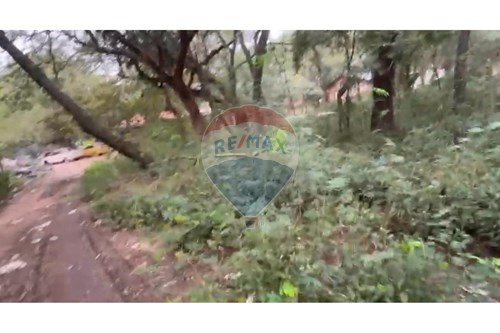 Terreno - Venta - Paraguay Cordillera San Bernardino — foto 2