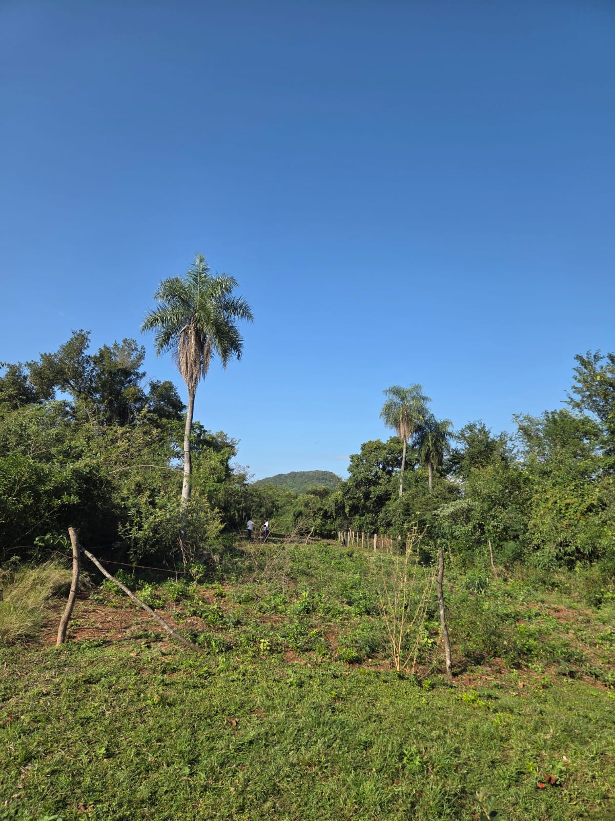 VENDO TERRENO EN CAACUPE — foto 2