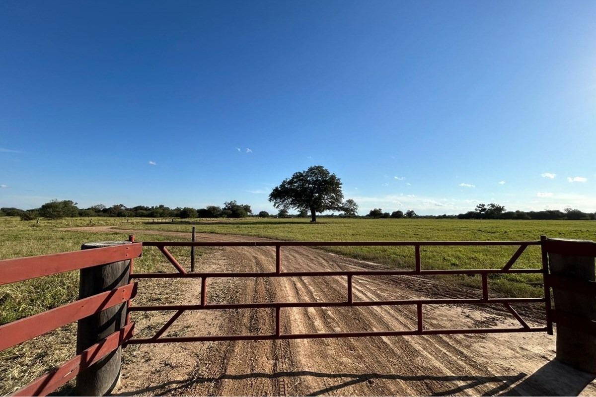 Terreno-Venta-Camino a Rosenort Nr.10, Filadelfia, Boquerón — foto 2