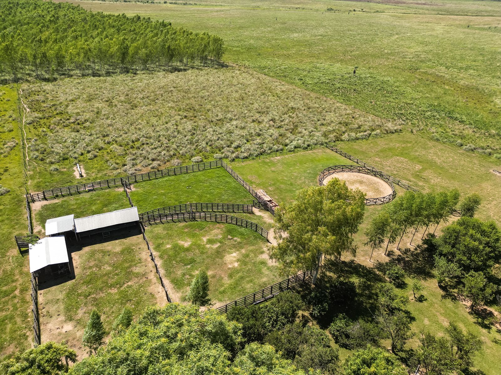 Vendo Granja de 100 ha en Isla Pucu - Cordillera — foto 3