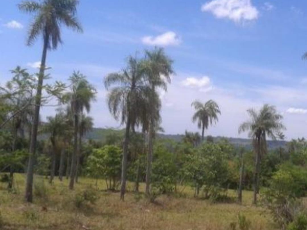 Propiedad Rural de 2,65 Hectáreas en Venta – Caacupé — foto 2