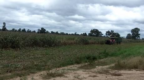 Departamento De Paraguari, Zona Roque Gonzalez Campo De 270 Has. Con Mejoras.