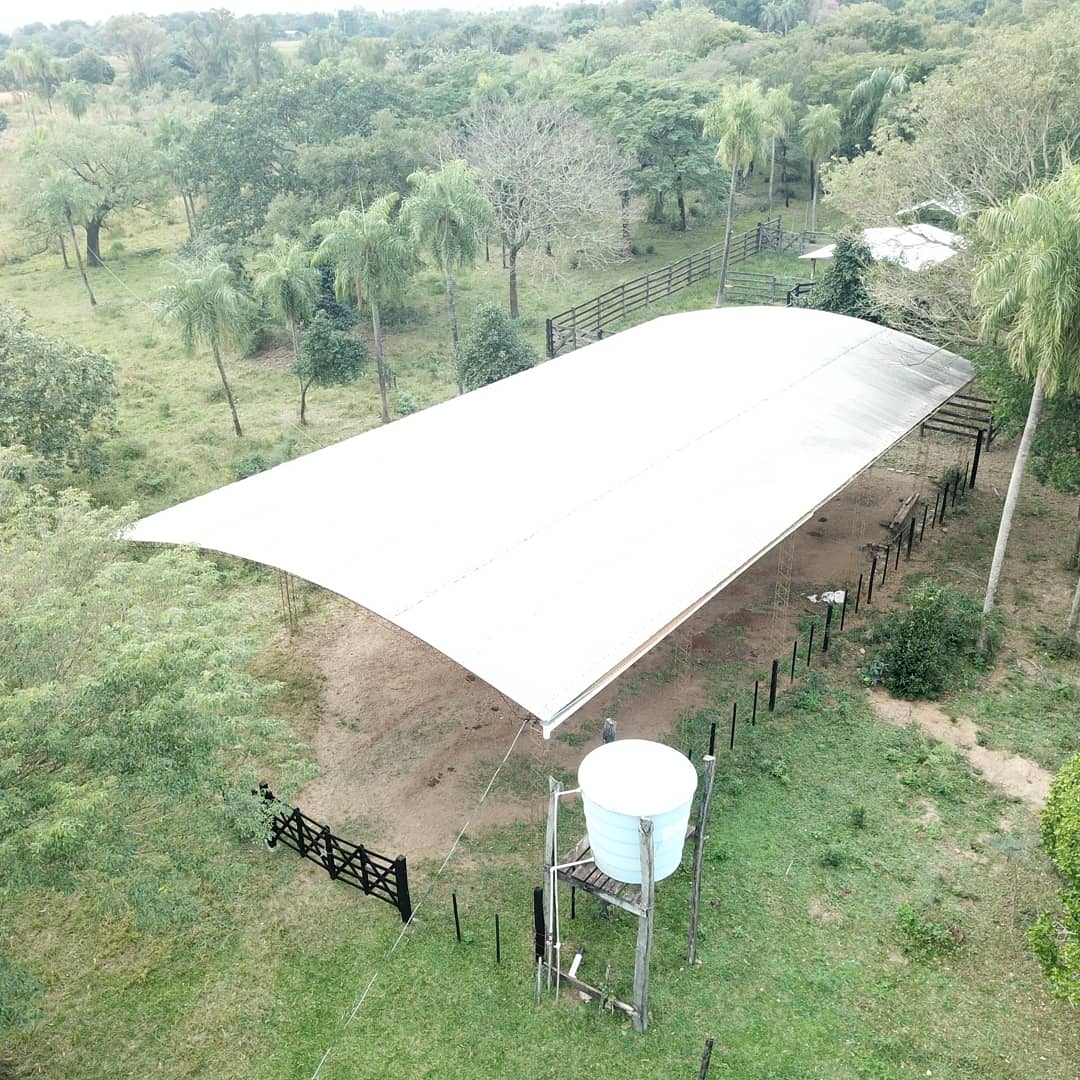 VENDO 60 HECTÁREAS EN QUIINDY. Cod VA — foto 3