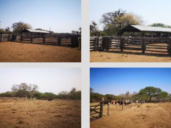 VENDO ESTANCIA EN PRESIDENTE HAYES — foto 3