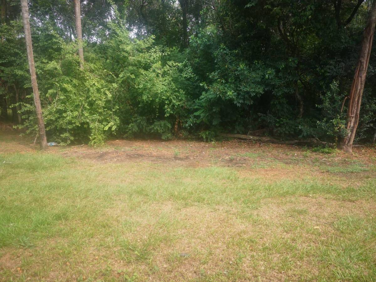 VENDO TERRENO CON ARROYITO EN URBANIZACIÓN EL CORTIJO SAN BERNARDINO — foto 3