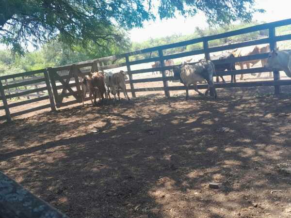 Vendo Hermosa Estancia de 900has en Boqueron. — foto 3