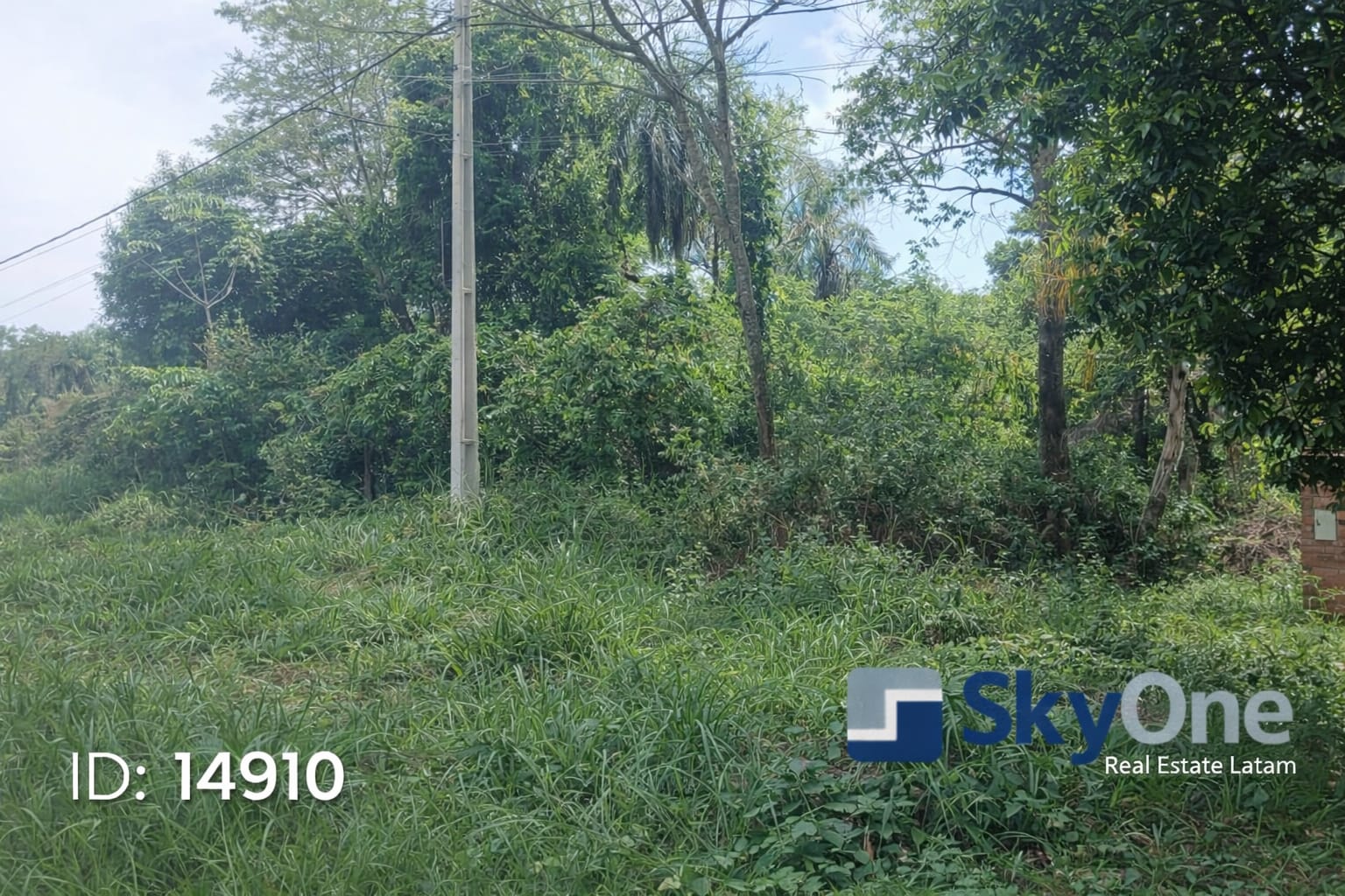 Terreno — foto 3
