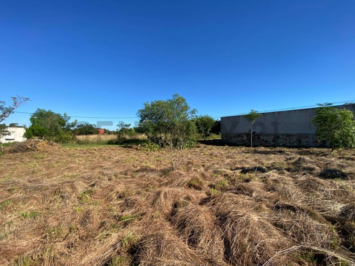 VENDO TERRENO DE 1.200 m2 EN SAN BERNARDINO — foto 2