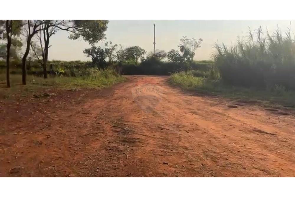 VENDO TERRENO HECTAREAS AGRICOLAS EN MINGA GUAZU KM 16 — foto 3