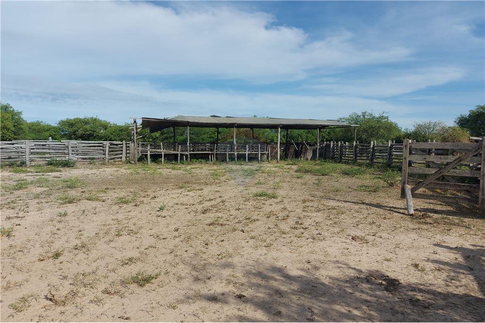 VENDO CAMPO EN PRESIDENTE HAYES 7.500 HECTAREAS — foto 2