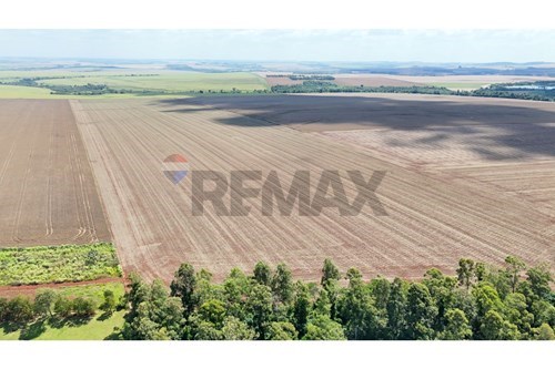 Campo en venta en Santa Rita — foto 2