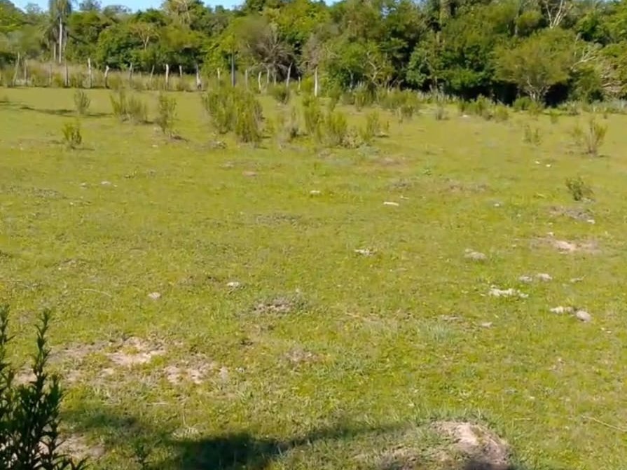 VENDO CAMPO EN CAAZAPA MI - VILLARRICA 20 HECTAREAS — foto 3