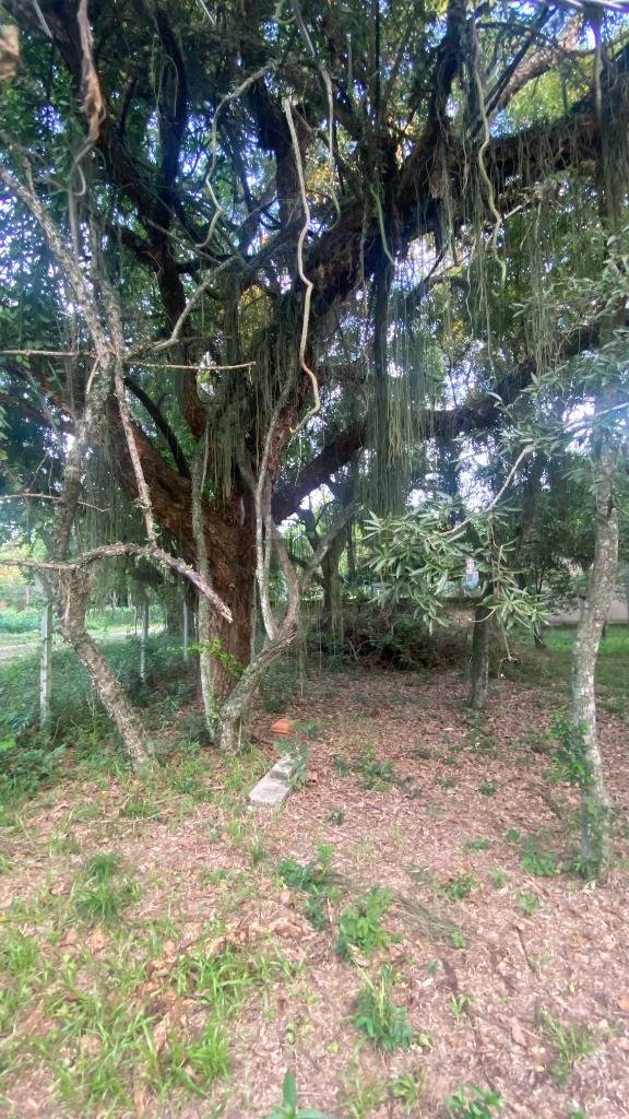 Vendo terreno en Urbanización SADI — foto 2