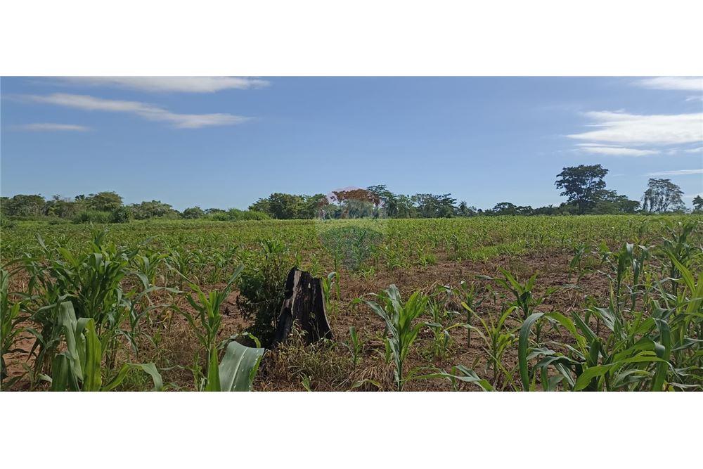 En venta Terreno de 70 hectáreas En Paraguarí a 500 metros del Río Tebicuary — foto 3