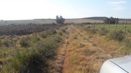 Campito Con Aguada