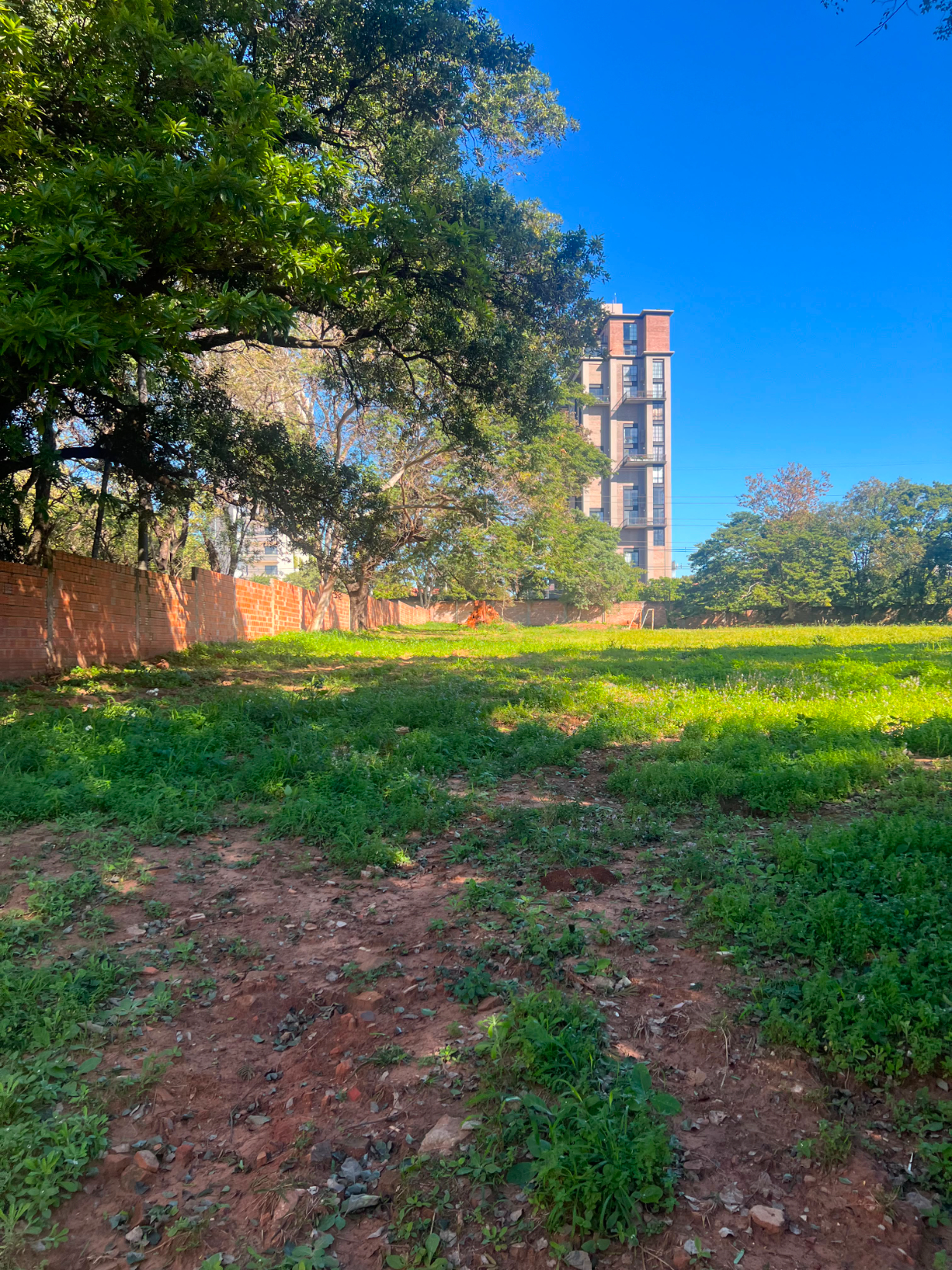 ALQUILO TERRENO SOBRE 1ER PRESIDENTE- BARRIO MBURUCUYA — foto 3