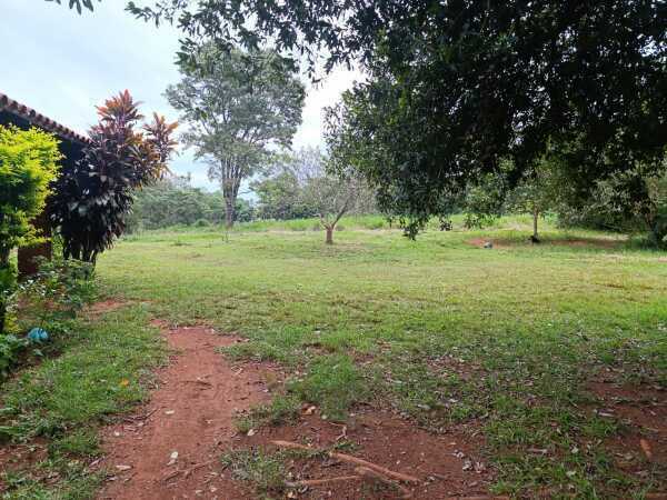VENDO 40 HECTAREAS EN MINGA GUAZU  KM 28 ALTO PARANÁ — foto 3