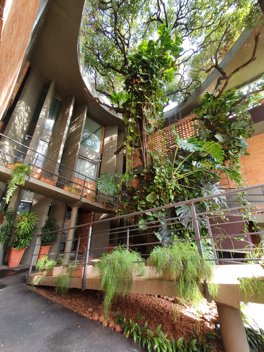 Casa en alquiler en Villa Aurelia