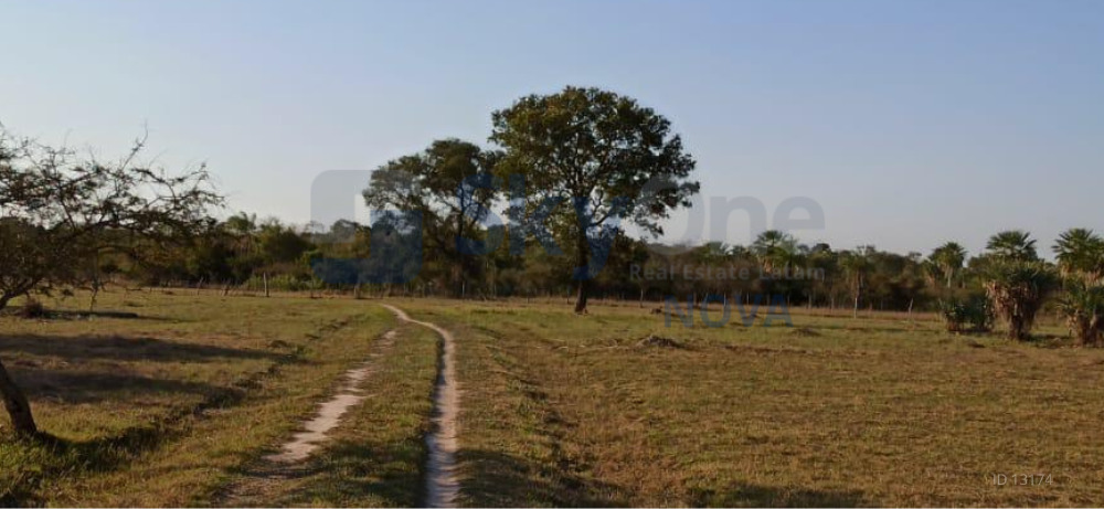 EN VENTA PROPIEDAD DE 79.789 HAS EN CONCEPCIÓN — foto 2