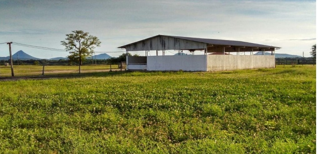 Vendo Establecimiento Rural de 7.200 Hectáreas en Carmelo Peralta - CLCS6763167 — foto 2
