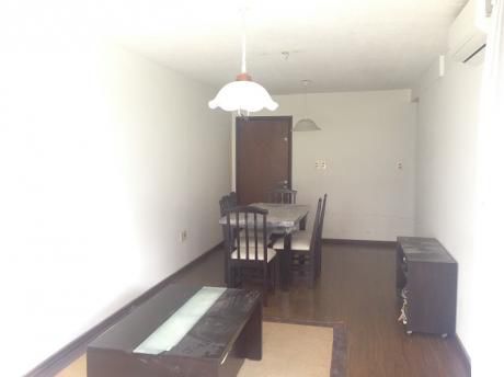 Planta Con Servicio Completo