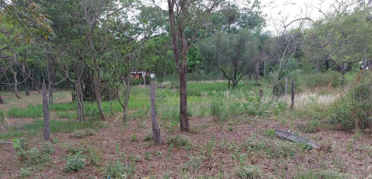 TERRENO EN ALTURA CIERVO CUA SAN BERNARDINO — foto 2