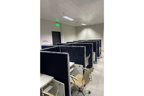 ALQUILER DE LOCAL COMERCIAL, SAN ROQUE — foto 3