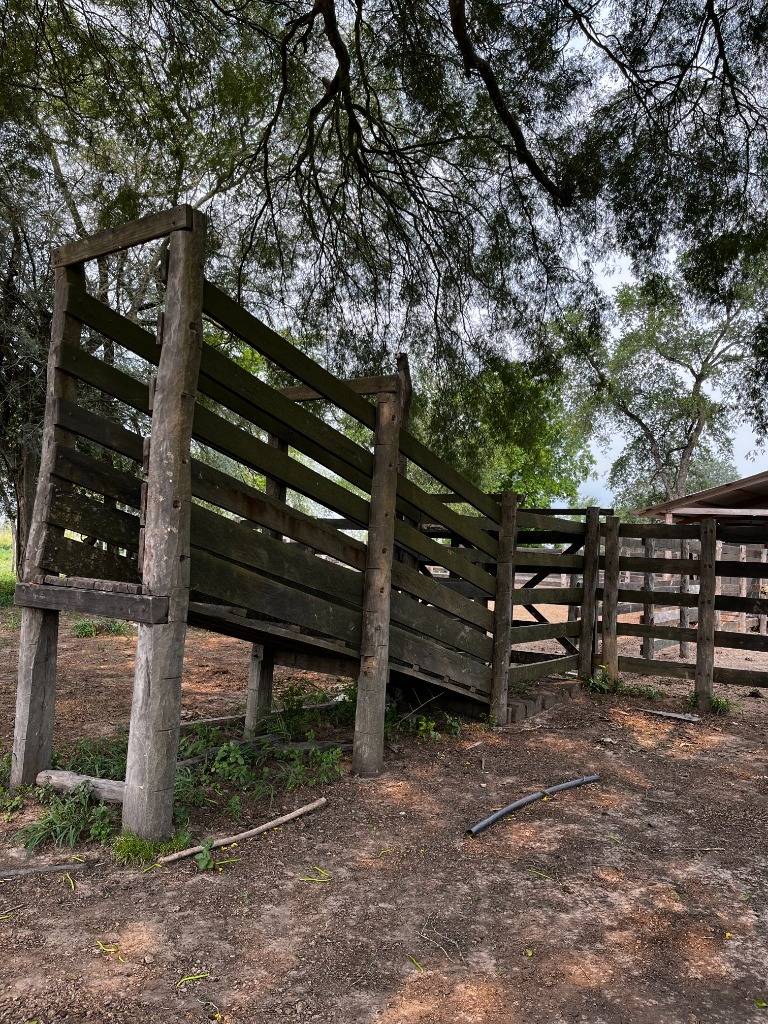 EN VENTA ESTANCIA EN CORONEL BURGUEZ CHACO — foto 3