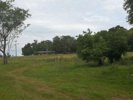 Vendo Campo Departamento Paraguari