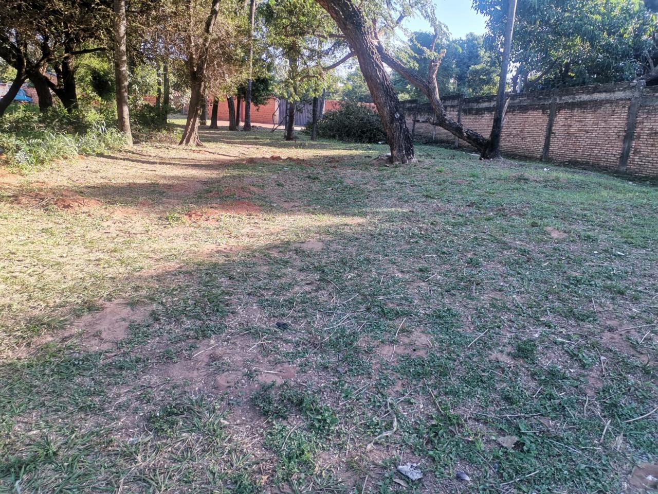 VENDO TERRENO A PASOS DE LA RUTA AREGUA PATIÑO — foto 3