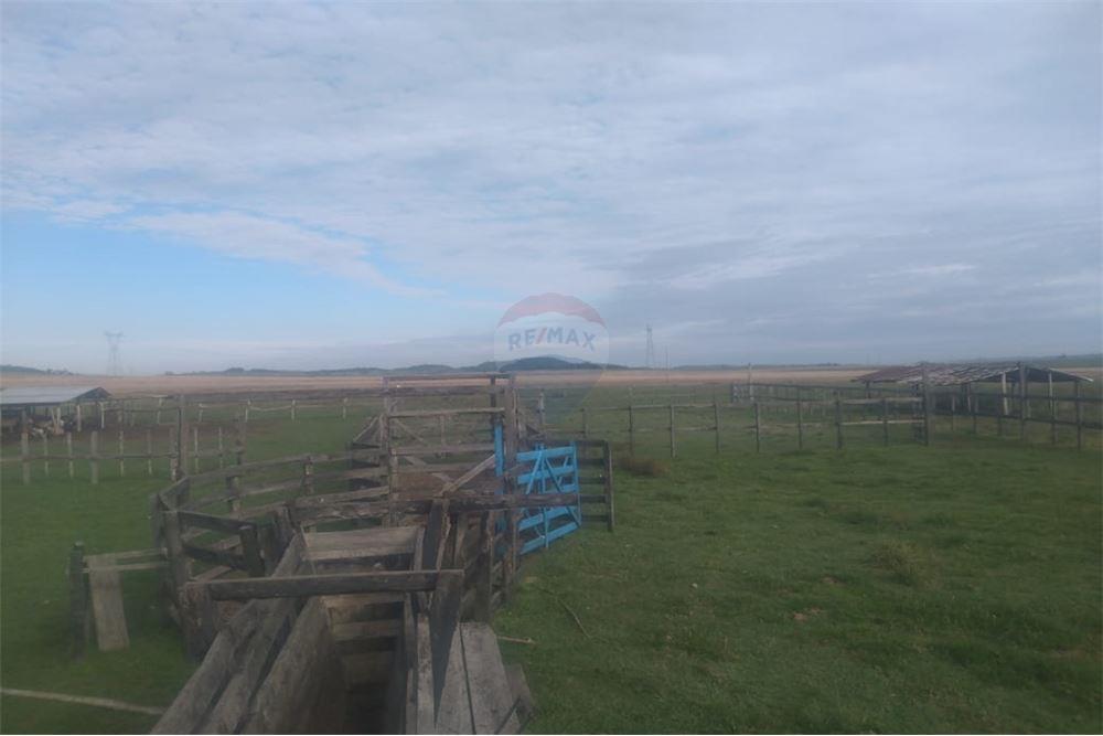 Campo Ideal Para ENGORDE de ganado — foto 2