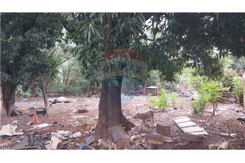 Terreno-alquiler-py Central Fernando De La Mora  Maria Jose Troche Y Manora — foto 3