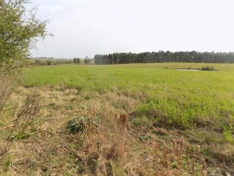 Chacra Agrícola