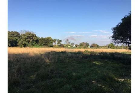 Vendo 600 Ha A 45 Km De Asunción En Nueva Italia