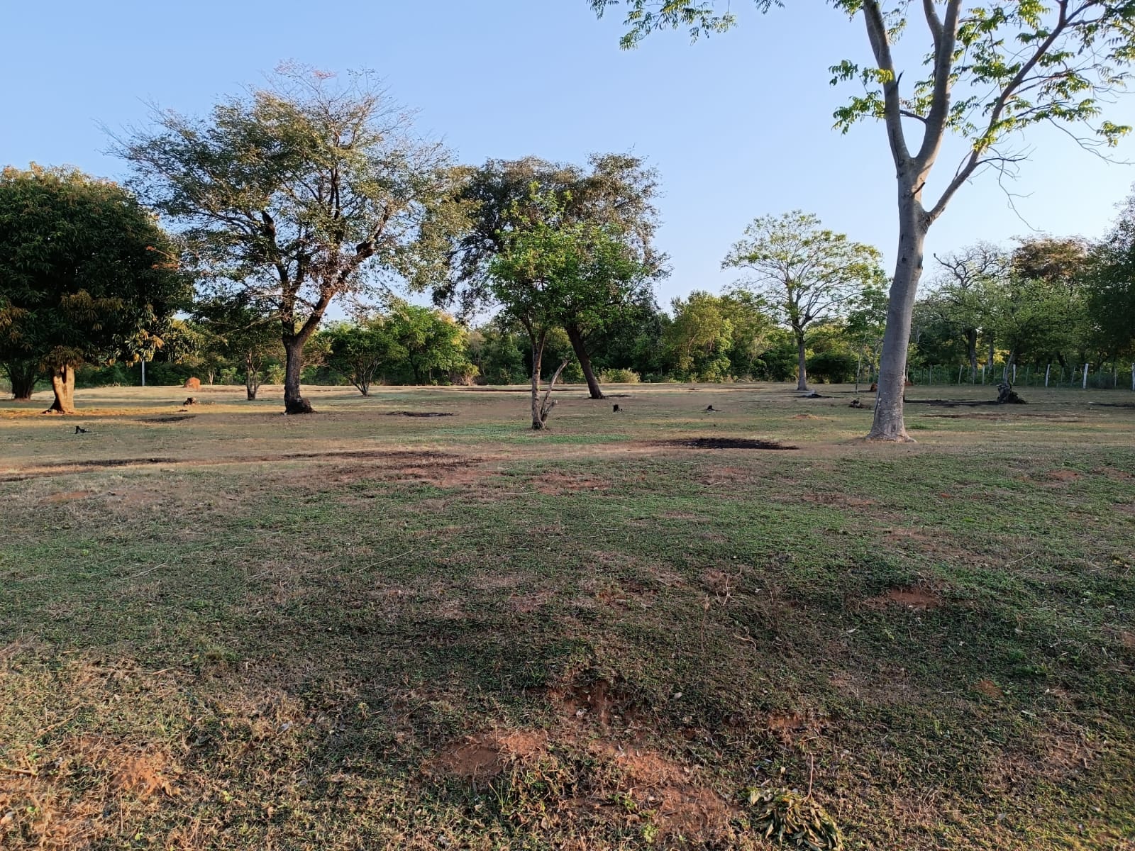 TERRENO 3600 M2 EN CAACUPE — foto 3