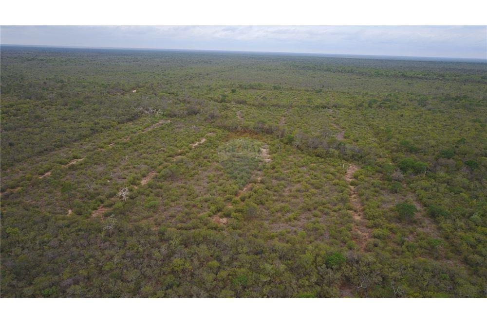 VENDO AMPLIO CAMPO EN EL CHACO ZONA LAGERENZA — foto 3