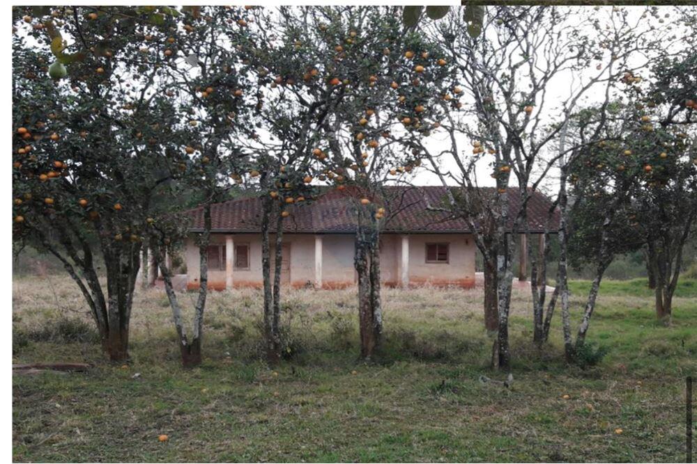 VENDO 20 HECTAREAS SOBRE RUTA EN CIUDAD DEL ESTE — foto 2