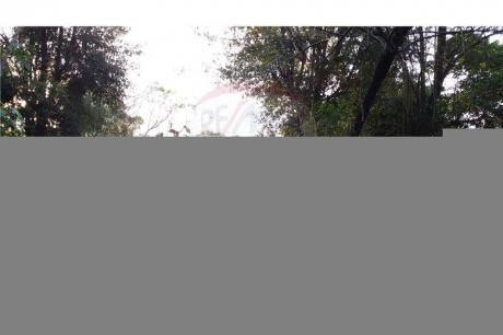 Vendo Terreno En San Lorenzo